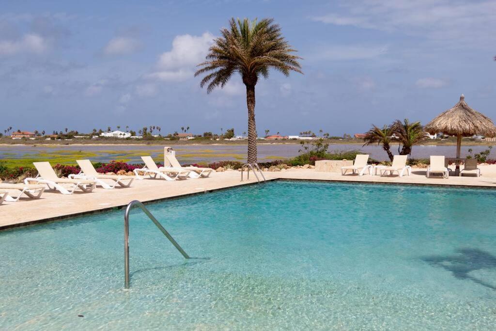 פאלם ביץ' New! Cozy 1 Bedroom Condo- Gold Coast, Noord Aruba מראה חיצוני תמונה